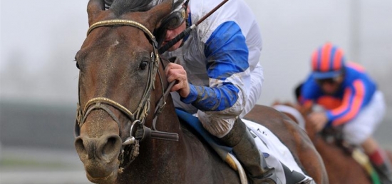 Bet on the Carter Handicap