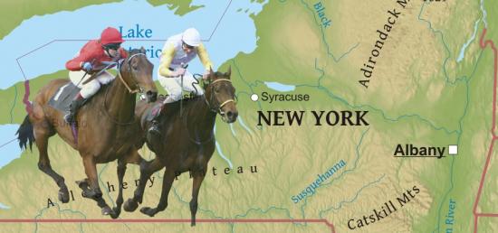 New York Racetracks
