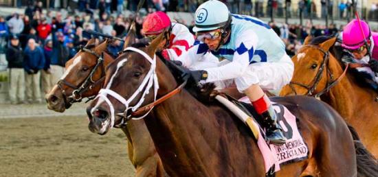 Bet on The Wood Memorial