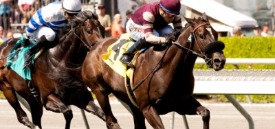 $100,000 La Jolla Handicap Draws Strong Field of Ten