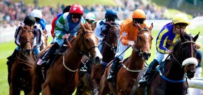 $100,000 P.G. Johnson Stakes Could Offer Breeder's Cup Preview