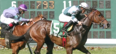 $100,000 Robert J. Frankel Stakes Draws Field of Twelve