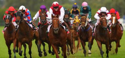 $100,000 Sir Cat Stakes Part of Opening Day Action at the Spa