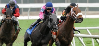 $150,000 California Dreamin' Stakes Has Wide-Open Feel