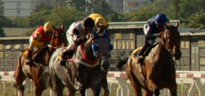 $150,000 Iroquois Stakes Pits La Verdad Against Willet