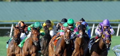 $50,000 Jersey Lilly Offers Betting Value at Sam Houston