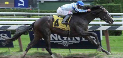 $500,000 Champagne Stakes Draws Field of Six