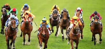 BC Juvenile Fillies Winner Returns in Stern Test