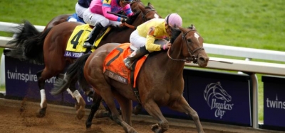 Belmont Park Saturday Bed O' Roses Picks