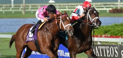 Belmont Park Weekend Stakes Picks and Odds