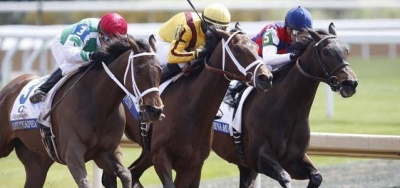 Belmont Park Picks for Mother Goose Stakes