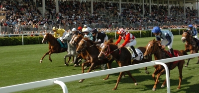Belmont Stakes Undercard Races Preview and Picks
