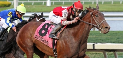 Birdatthewire Launches Comeback in $200,000 Chilukki Stakes