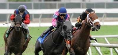 Competitive Field Assembles in $60,000 Cooper Stakes