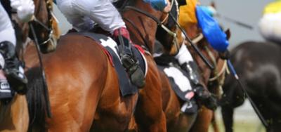 Doug O'Neill Has Four in the $100,000 W.L. Proctor Memorial Stakes