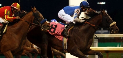 Effinex the High Weight in $500,000 Stephen Foster Handicap