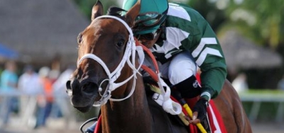 Enchanting Lady Trying to Rebound in $150,000 Jersey Girl Stakes