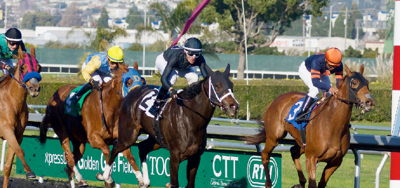 2021 Breeders' Cup Classic Picks