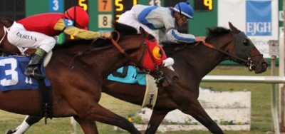 Full Field of Fourteen Set for $75,000 Woodchopper Stakes