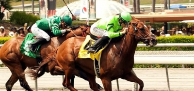 Full Field of Thirteen Ready for $75,000 Singletary Stakes