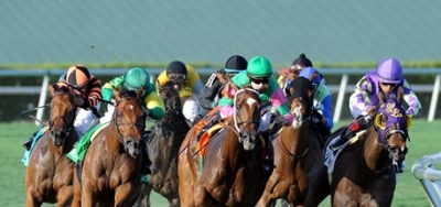 Full Field Ready for $75,000 Brandywine Stakes