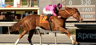 Go West Marie Headlines Field for $100,000 Las Cienegas Stakes