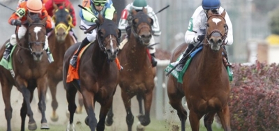 Grade 2 Mathis Brothers Could Produce a Price