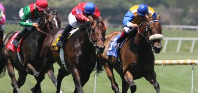 Graham Motion Will Saddle Three in the $50,000 Nick Shuk Memorial