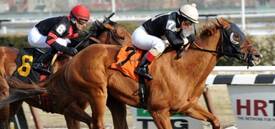 Green Gratto Goes for Third Straight Win in $150,000 Toboggan Stakes