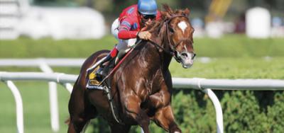 Half to Royal Delta Breaks Maiden on The Belmont Park Turf