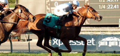 Home Journey Headlines Strong Field for $75,000 Mizdirection Stakes