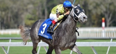 Jim Dandy Stakes Picks and Preview at Saratoga Saturday