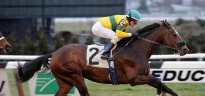 Long On Value Leads Aqueduct Stakes Field