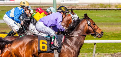 2021 Los Alamitos Futurity Picks