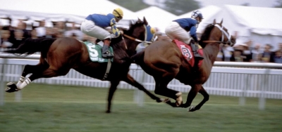 Never Gone South Squares Off Against Vorticity in $100,000 Maryland Stakes