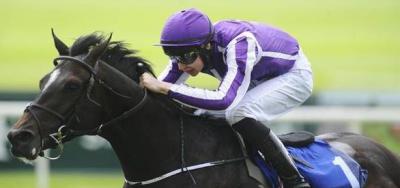 Nine Sophomores to Compete in $500,000 Secretariat Stakes