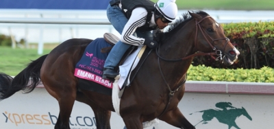 Pegasus World Cup 2020 Odds