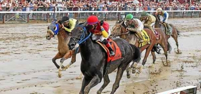 Preview and Picks for the 2016 Preakness Stakes