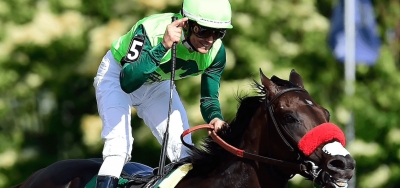 Predictions of the Prince of Wales Stakes 2019