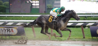 Private Zone Takes on Five in $300,000 Gulfstream Park Handicap