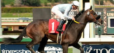 Prospect Park Tops Field for $250,000 Del Mar Derby