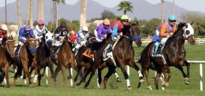 Romansh Tops the Field for the Suburban Handicap