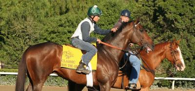Ron The Greek Upsets in The JC Gold Cup