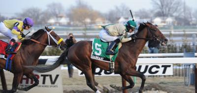 Samraat Takes Fifth Win in Grade III Gotham Stakes