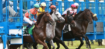 Seven Juvenile Fillies Set for $100,000 Bolton Landing Stakes