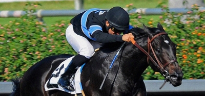Shared Belief Leaves CA for $1.5 Million Charles Town Classic
