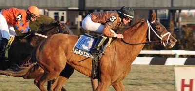 Showdown of the State-Breds in the $125,000 New York Stallion Series