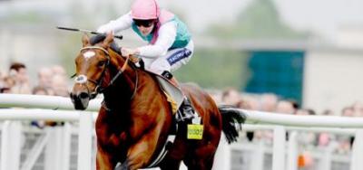 Six Sophomores Entered for Turf in the $200,000 National Museum of Racing Hall of Fame Stakes