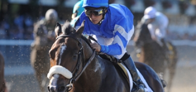 Vosburgh Stakes Picks for Belmont Saturday