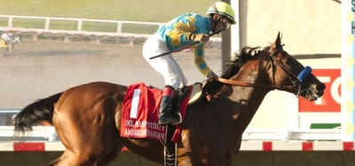 What's Next for American Pharoah?